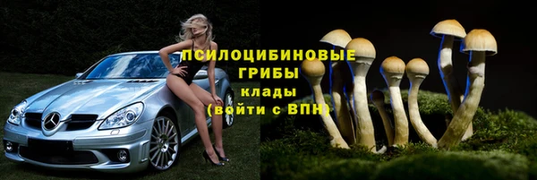 прущий лед Алексин