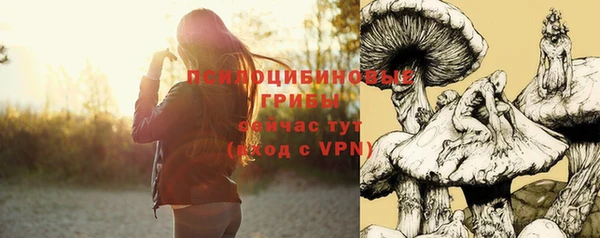 кокс Алзамай