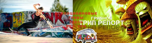 стаф Алексеевка