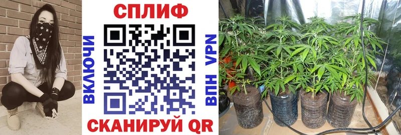 Шишки марихуана LSD WEED Донской